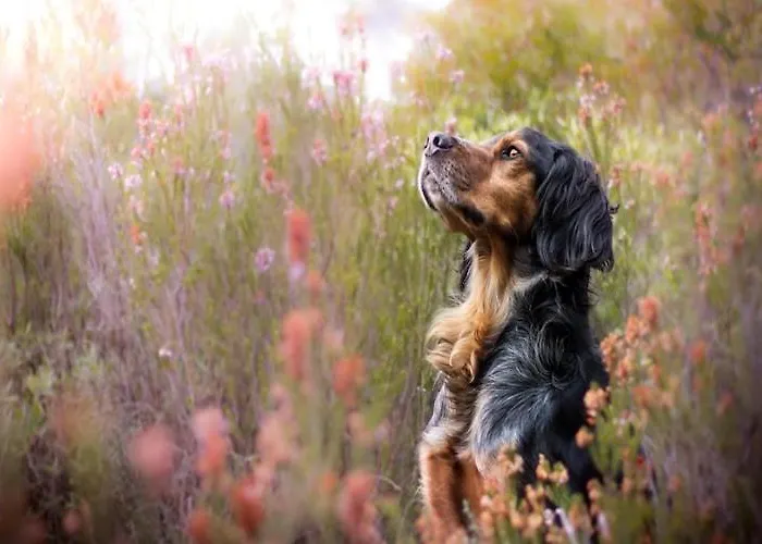 In Ko Obrzeg Near Baltic Apartamento